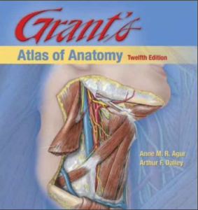 download anatomy atlas